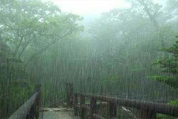 ���У�������������Ĺ鴦