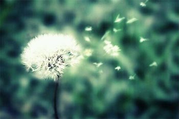 �ѹ�Ӣ--�޷�ͣ���İ�