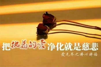 假如生命里没有了期待