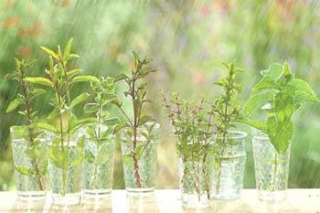 �ȴ�����