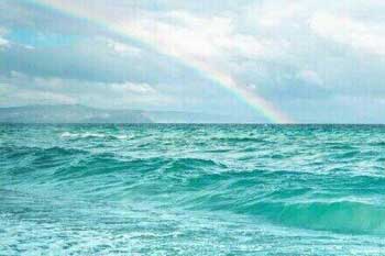 一片水 一滴水( 散文诗 )