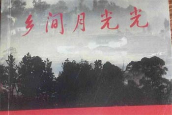 今夜,与你乡间柔醉