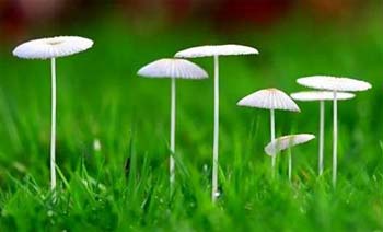 �쳾İ�ϣ����ײ���