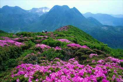 ����ɽׯׯ��Ϊ�����ʵ�Ů������Ů����Ȼ�������