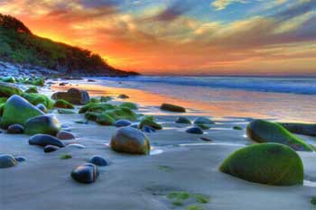 �������