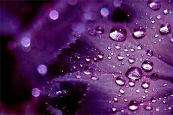 岁月如花,花开正好