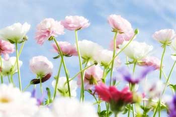 �������£��������