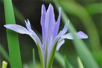 ��Щ��ȥ������