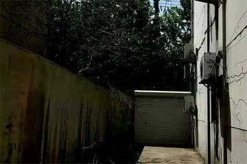 ����ǽ�������һĨ����