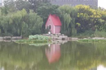 ����ƽ�� ��ζ����