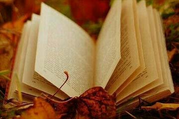 秋夜秋晨秋心情