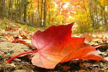 ����ϴ�峿