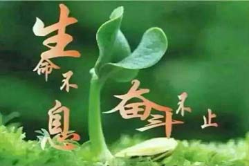 ��˼΢��(��)