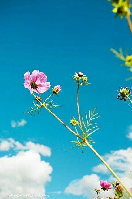 �������˼����