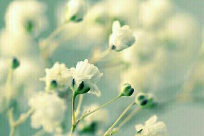 ������δ��