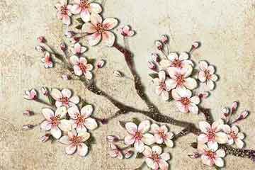 �ƻ���ɺ ���Ƕ��ڳ�Ĭ��