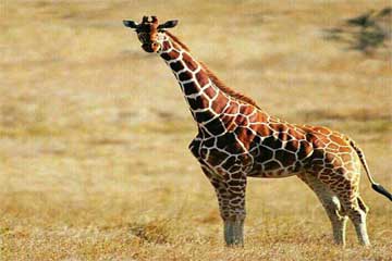 最后还是分开了