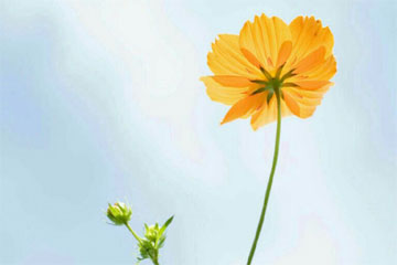 һ�����Ŀ�϶