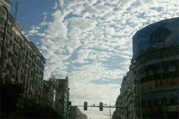 一次美丽的邂逅与思考