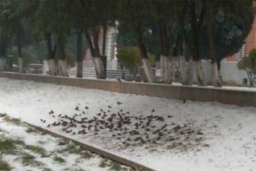 ������֪������һ������