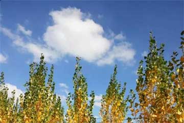 ����ļ���