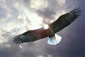 ��ͬ��ѡ��ͻ��в�ͬ�ļ�ֵ