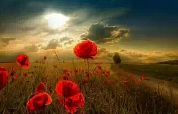 ������Ժ��߳���