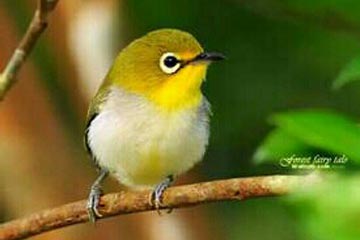 �޷��������ʹ