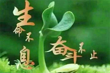 ����ȥ��������