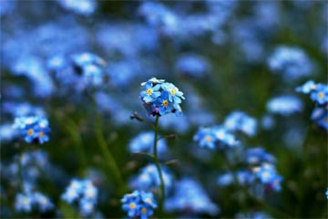 �Ƿ��ջ���������