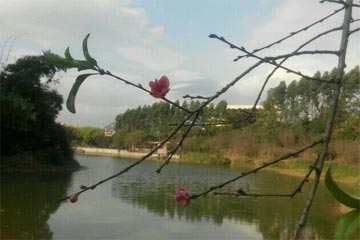 ���죬����