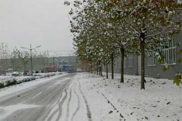 ˢ������Ȧ��ѩ