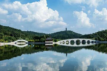 ��������֮���Ϲ�����Ũ�����������⡷