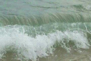 ��˼����