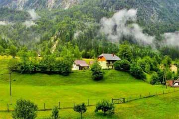 ����һ�����������