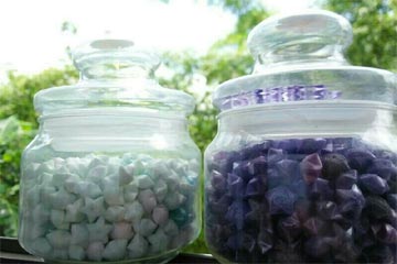 �¶�����������