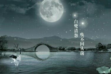 ҹδ�룬�¶�����