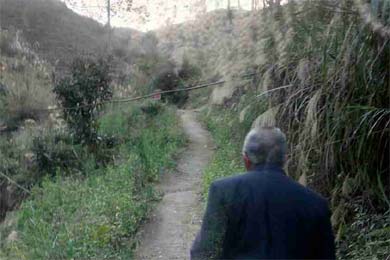 ��կ��ϵ�ж����ӿ�С·