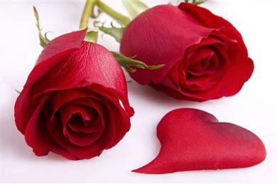 �����������е�һ��õ��