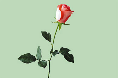 ���¿�ʼ�Ŀ�ʼ