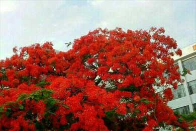 ��β���¡�����