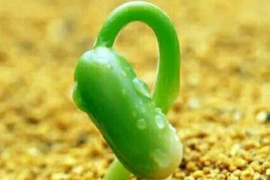 ���´����Ƽ���