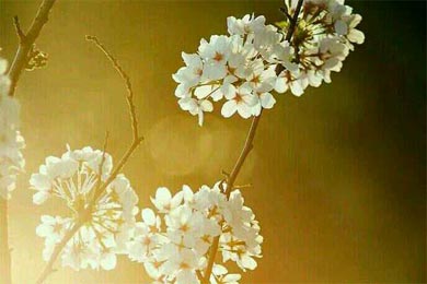 谁的青春没有一场独角戏