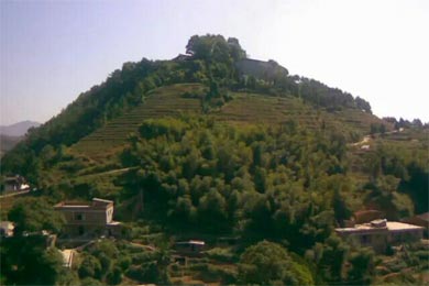 ��ϵɣ������������