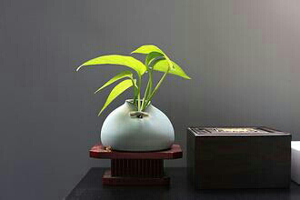 ����һ�� ̹Ȼ��֮