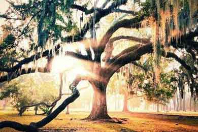 ƮҶ�ĳ��У�������������