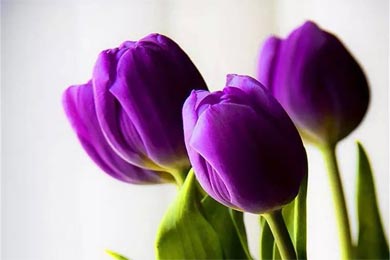 ���̵�Χ��