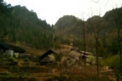 ���̵�����