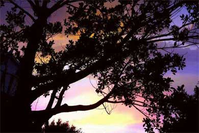 三月杂感与感悟