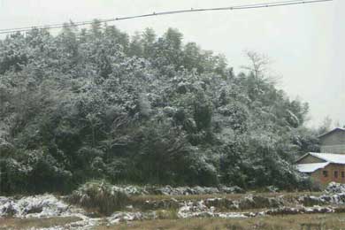 �ּ�����ѩ